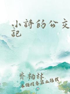 小诗的公交车日记