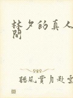 林夕的真人娃娃间