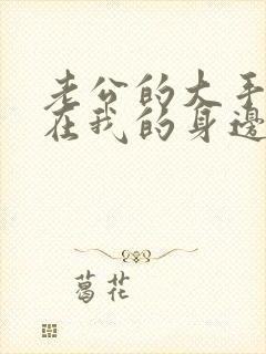 老公的大手游走在我的身边