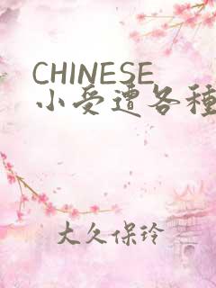 CHINESE小受遭各种打桩