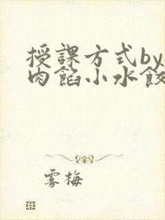 授课方式by 肉馅小水饺