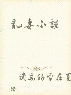 乱妻小说