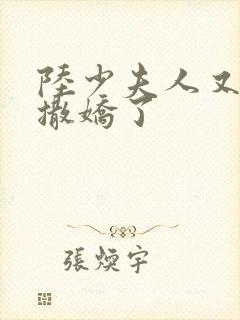 陆少夫人又双叒撒娇了