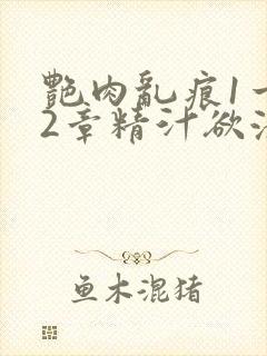 艳肉乱痕1一12章精汁欲液