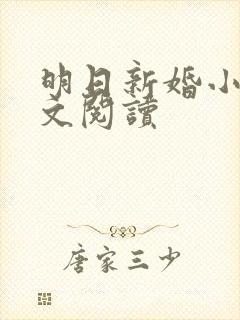 明日新婚小说全文阅读