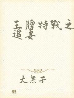 王牌特战之军少追妻