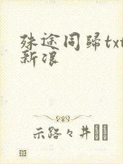 殊途同归txt新浪