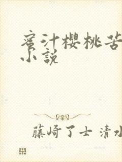 蜜汁樱桃苦咖啡小说