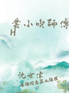 丛小吃师傅的HH