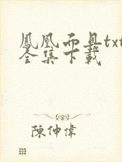 凤凰面具txt全集下载