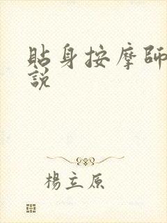 贴身按摩师 小说