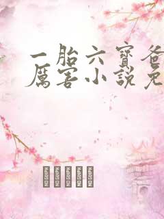 一胎六宝爸比好厉害小说免费阅读