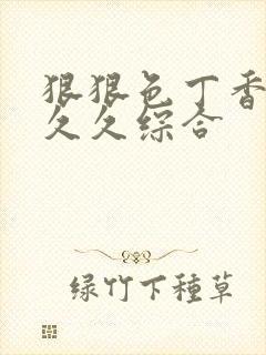 狠狠色丁香婷婷久久综合