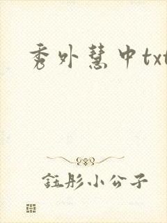 秀外慧中txt