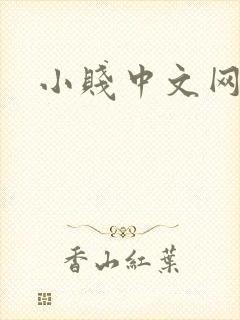小贱中文网