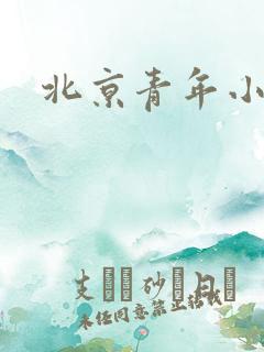 北京青年小说