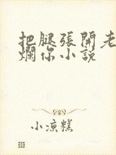 把腿张开老子臊烂你小说