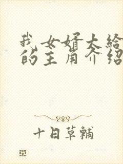 我女婿太给力了的主角介绍