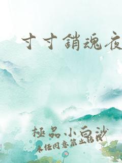 寸寸销魂夜春光