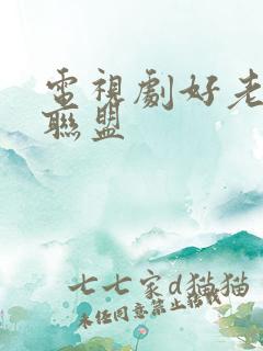 电视剧好老婆大联盟