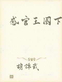 感官王国下载
