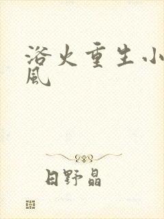 浴火重生小说陈风