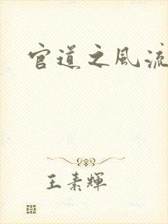 官道之风流