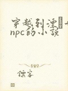 穿越到湮婸世界npc的小说