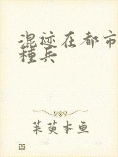 混迹在都市的特种兵