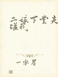 二嫁下堂夫君别碰我