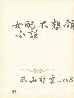 女配不想领便当 小说