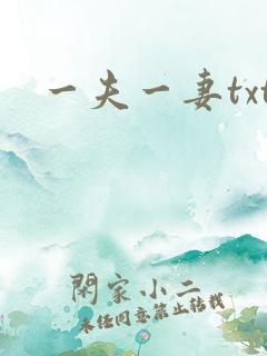 一夫一妻txt