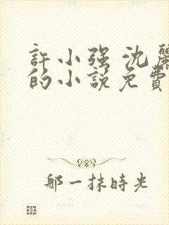 许小强 沈丽娟的小说免费阅读