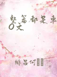 整篇都是车的PO文