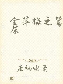 金萍梅之鸳鸯铣床