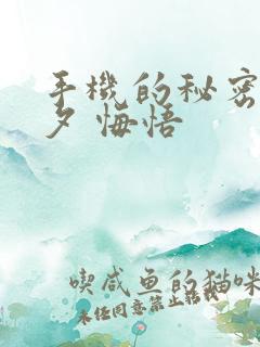 手机的秘密 七夕 悔悟