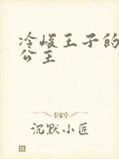 冷峻王子的完美公主