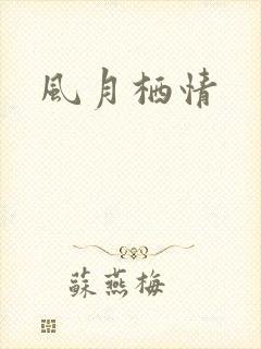 风月栖情