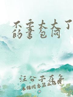 不要太大了会坏的书包网