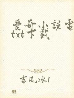 爱奇小说电子书txt下载