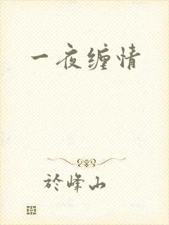 一夜缠情