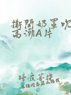 撕开奶罩吮奶头高潮A片