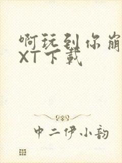 啊玩到你崩溃TXT下载