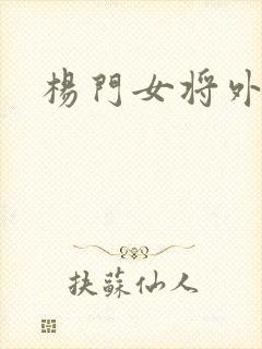 杨门女将外传