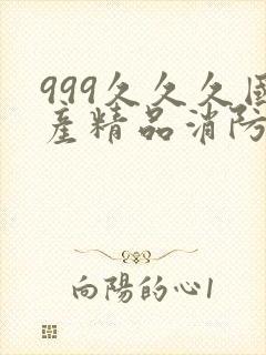 999久久久国产精品消防器材