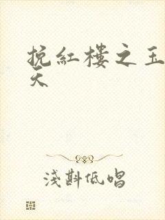 挽红楼之玉舞九天