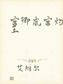 宫卿岚宫灼摄政王