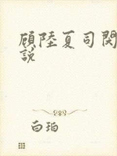 顾陆夏司闵郁小说