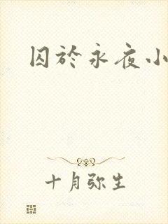 囚于永夜小说