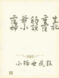 霍爷的重生小媳妇小说霍北江